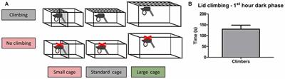 Inducing Physical Inactivity in Mice: Preventing Climbing and Reducing Cage Size Negatively Affect Physical Fitness and Body Composition